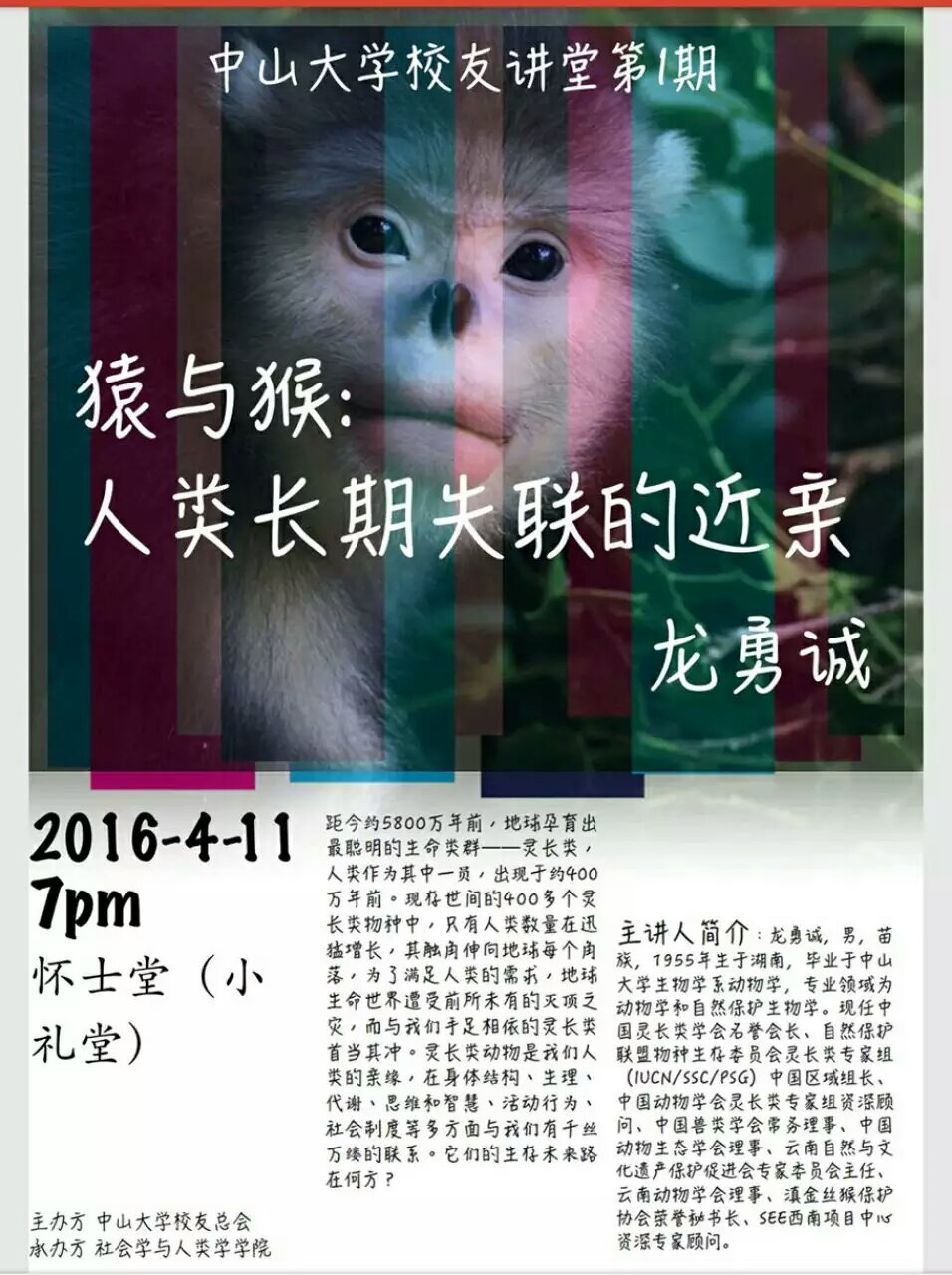 猿与猴:人类长期失联的近亲